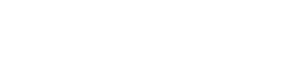 Benchmark BSI